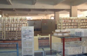 watzin firing process