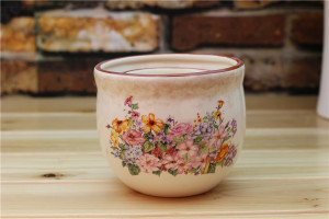 Blooming Bush Contest ceramic flower pot