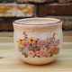 Blooming Bush Contest ceramic flower pot