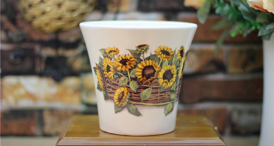 Long For Sunshine Ceramic Flower Pot