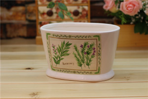 Shy Rosemary Small Ceramic Flower Pots
