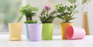 choose the right flower pot color
